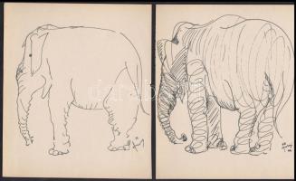 Szőnyi Jenő (1902-?): 3 db vázlatrajz (elefánt), tus, papír, jelzett, 16×10 cm