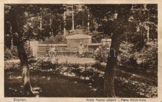 Sopron, Printz Ferenc pihenő (gluemark)