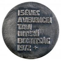 Gáll Gyula (1939-) 1972. "15 éves a Velence Tavi Intéző Bizottság" ezüstözött Br plakett (...