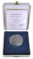 Gáll Gyula (1939-) 1972. "15 éves a Velence Tavi Intéző Bizottság" ezüstözött Br plakett (...