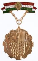 ~1965. Kiváló Termelőszövetkezeti Dolgozó kitüntetés dísztokban T:1(tok kissé sérül)