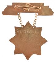 ~1960. "Kiváló Termelőszövetkezeti Tag" tűzzománcozott kitüntetés dísztokban T:1