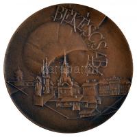 1968. "Békéscsaba / Városunkért" Br emlékérem (50mm) dísztokban T:2
