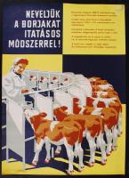 cca 1950 Pál György: "Neveljük a borjakat itatásos módszerrel!", ofszet plakát, 70x50cm