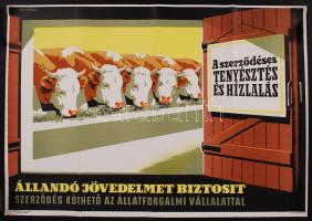 cca 1964 "A szerződéses tenyésztés és hízlalás", ofszet propagandaplakát, 47,5x67,5cm