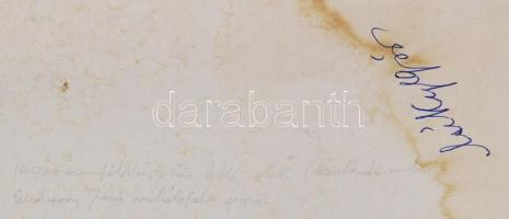 cca 1900 Vadászok, nagyméretű műtermi fotó kartonra kasírozva / 
Hunters, on cardboard, 23x29/31x37c...