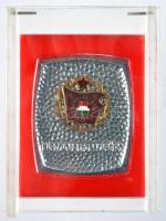 1964. Munkásőr kitüntetés mellszalaggal, szalagsávval és miniatűrrel, dísztokban + "Szocialista...