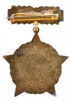 ~1970 "A Vízgazdálkodás Kiváló Dolgozója" kitüntetés miniatűrrel dísztokban T:1