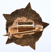 ~1970 "A Vízgazdálkodás Kiváló Dolgozója" kitüntetés miniatűrrel dísztokban T:1