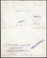 1959 Sevcsik Jenő(1899-1996): Séta. Vintage fotó a szerző hagyatékából; az Egyetemi Lapokban publiká...