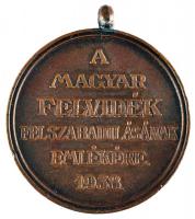 1938. "Felvidéki Emlékérem" Br emlékérem mellszalag nélkül T:2
Hungary 1938. "Commemo...