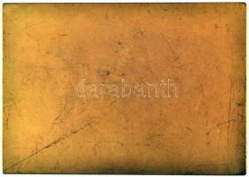 1931. "Sopron szabad királyi város közönsége" aranyozott plakett (57x80mm) T:2