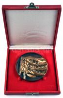 ~1960. "Kiváló Agitációs Munkáért" Br emlékérem dísztokban T:2