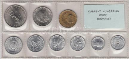 1981. 2f-10Ft 9db klf érmés forgalmi sor fóliatokban T:1