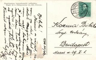 Nagykanizsa Sugár út 4., Hotel Pannónia, "Nagykanizsa legmodernebb szállodája" (fa)