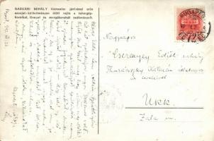 Military WWII Mihály Sasvári and the Soviets, battle s: Juszkó (small tear)