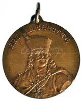 1896. "I. Ferencz József / Millenniumi emlék" emlékérem T:2 + 1903. "A Kassai Rákóczi...