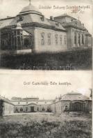 Bakonyszombathely, Esterházy Béla kastélya (fa)