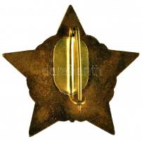 ~1960. "Munkásőr" szolgálati zománcozott aranyozott jelvény 5 év szolgálat után + ejtőerny...