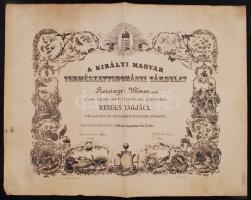 1938 A Magyar Természettudományi Társaság oklevele Reisinger Vilmos részére. Papír. 55x58 cm