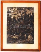 Csanády András (1929-):Erdei kalászos. Fametszet, papír, jelzett, üvegezett keretben, 39×26 cm