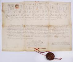 1881. Magyar Királyi Tudományos Egyetem bába oklevele, Bicskei Mária Szabóné részére. Pergamen. Repedt viaszpecséttel. 46x64 cm.