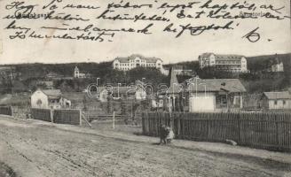 Budakeszi szanatórium (EK)