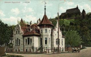 Segesvár with castle (Rb)