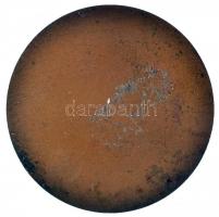 Búza Barna (1920-2010) 1961. "XIX. Kerületi Ady Endre Úti Iskola 1911-1961" Br emlékérem (...