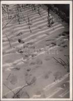 1933-1937 Kinszki Imre (1901-1945): Nyomok a hóban. Vintage fotó, hátoldalán szerzői pecséttel jelzett, 17x12cm