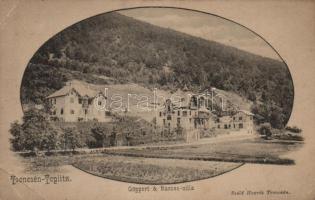 Trencsénteplic Villa Göppert, Villa Baross (EB)