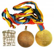 3db különféle vívással kapcsolatos díjérem / plakett T:2