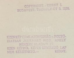 cca 1930-1940 Kerny István (1879-1963): Balaton. Vintage fotó, hátoldalán szerzői pecséttel jelzett,...