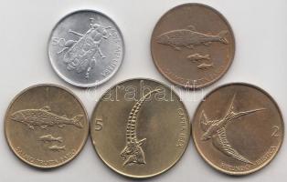 Szlovénia 1992-1995. 50s-5T (5x) T:2,2-
Slovenia 1992-1995. 50 Stotinov - 5 Tolarjev (5x) C:XF,VF