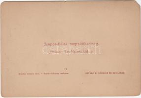 cca 1880-1890 Divald Károly: A landoki híd; a kép hátoldalán téves felirat szerepel; keményhátú fény...