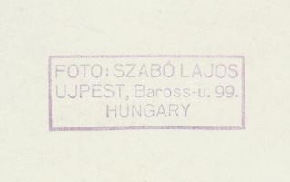 cca 1935-1940 Szabó Lajos: Virágok. Vintage fotó, hátoldalán szerzői pecséttel jelzett, 24x18cm