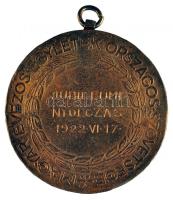 1922. "Magyar Evezős Egyletek Országos Szövetsége / Jubileumi Nyolczas 1922.VI.17." aranyo...