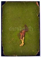 1932. "Pénzintézeti Sportegyletek Szövetsége / 1932. Évi Magasugrás Bajnokság - Bajnok" je...