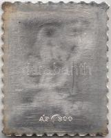 DN "Állami biztosító" Ag bélyeg érem (0.800/3.32g/27x22mm) T:PP Eredeti sérült plasztiktok...