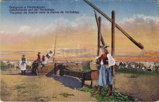 Ökörgulya a Hortobágyon