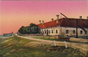 Élet a Hortobágyon