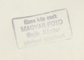 cca 1950-1960 Bojár Sándor (1914-2000): Futóversenyen. Vintage fotó, hátoldalán pecséttel jelezett, ...