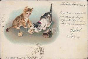 1899 Cats, litho