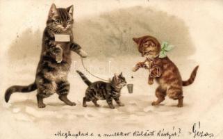 1899 Vak macska, koldus litho, 1899 Blind cat, beggar, litho