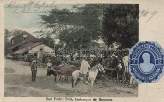 San Pedro Sula, shipment of bananas (EB)
