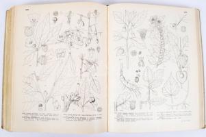 Jávorka Sándor és Csapody Vera: A magyar flóra képekben.Iconographia florae Hungaricae. 40 színes tá...
