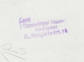 1950-1960 Tiszavölgyi József vintage felvétele akrobatákról, hátoldalán szerzői pecséttel jelzett, 1...