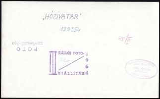 1964 Hózivatar című fotóművészeti alkotás, kiállítási és szerkesztőségi pecséttel, feliratozott, 14x...