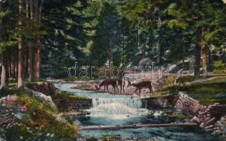 Wapienica / Lobnitz bei Bielitz, Biala;