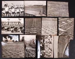 1965 Sportünnepély Csehszlovákiában, 12db, négy nyelvű propagandafotó / Mass games in Czechoslovakia, 12 multilingual propaganda photos, 13x18cm